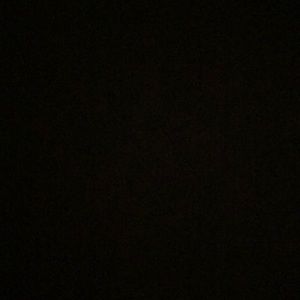 Meet your Posher, Carley